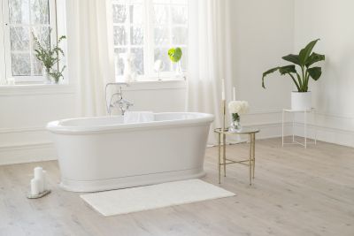 Elegant Bathtubs