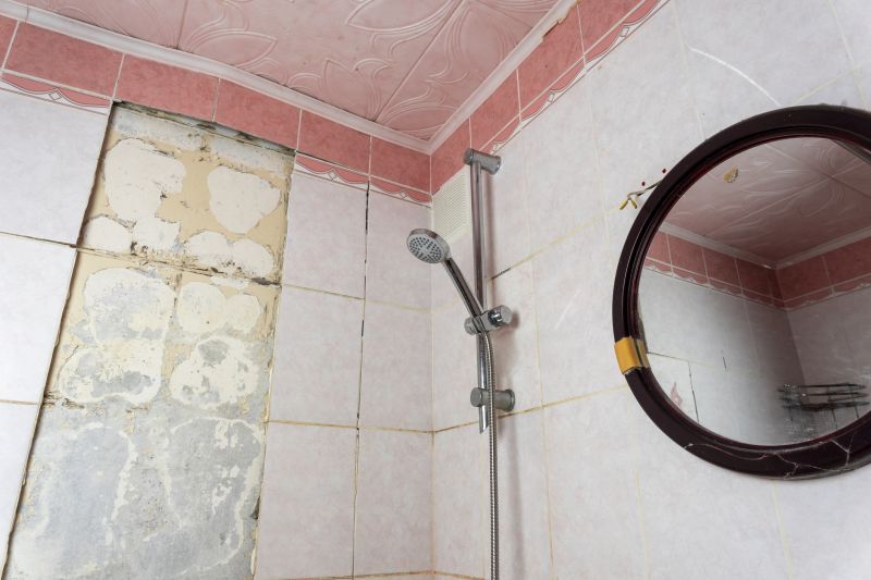 Shower Renovation Process